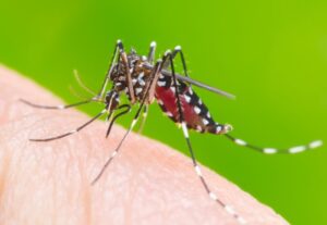 تب دنگی؛ علائم، راه‌های انتقال و روش‌های درمان